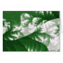 Growth 1 - Fractal Art