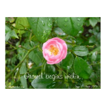 Growth Begins Within. posters