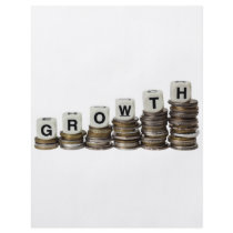 Growth Flyer Design