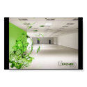 Growth posters