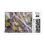Growth stamps