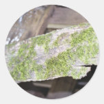 growth sticker