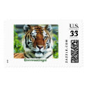 Grrrreetings! postage by pluisje Grrrreetings! postage