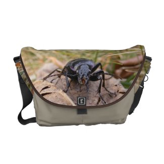Gruesome Beetle ~ Messenger bag