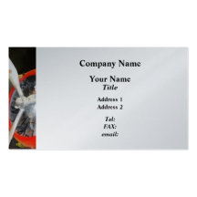 Grumman F3F-2 Biplane Business Card Template