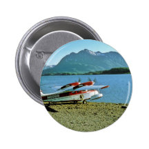 Grumman Widgeon N86616 Button