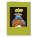 Grumpus the bluebird card