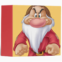 Grumpy 5 vinyl binders