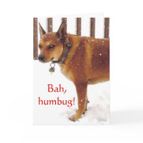Grumpy Bah, Humbug! Cattle Dog - Western Holidays Greeting Card