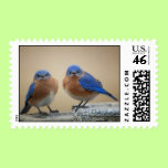 Grumpy Bluebirds Stamp stamps