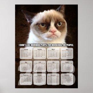 Grumpy cat poster
