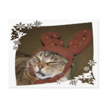 Grumpy Cat Christmas Postcard