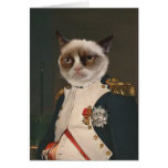Funny Cards