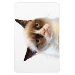 Grumpy Cat Flexible Magnet