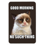 Grumpy Cat Flexible Magnet