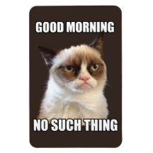 Grumpy Cat Flexible Magnet