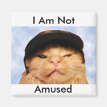 Grumpy Cat Fridge Magnet