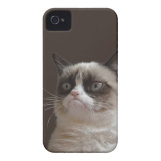 Grumpy Cat Glare Case-Mate iPhone 4 Cases
