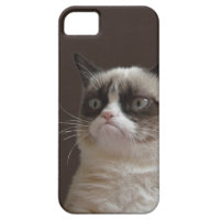 Grumpy Cat Glare iPhone 5 Case