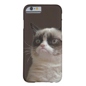 Grumpy Cat Glare iPhone 6 Case