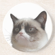 Grumpy Cat Glaring Coasters