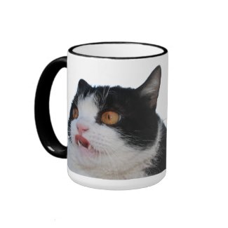 Grumpy Cat ™ - Grumpy Cat and Pokey Mug