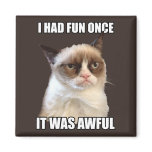 Grumpy Cat - I had fun once Magnets