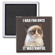 Grumpy Cat - I had fun once Magnets