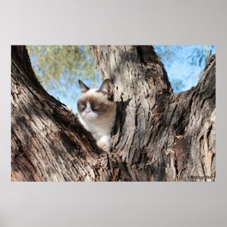 Grumpy Cat™ In a Tree Poster