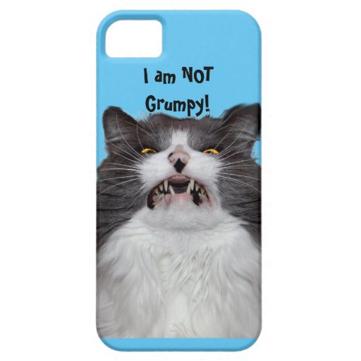 grumpy cat iphone 5 covers iphone se 5 5s zazzle grumpy cat iphone 5 covers iphone se 5 5s zazzle