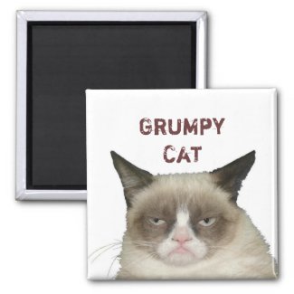 Grumpy Cat Magnet with Text