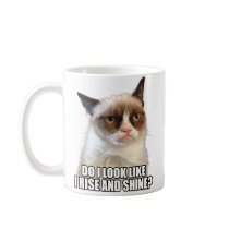 Grumpy Cat Mug