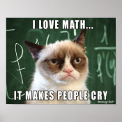 Grumpy Cat Poster- I love math it makes people cry