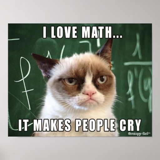 grumpy_cat_poster_i_love_math_it_makes_people_cry-r91cc8357f25340ff8fef39c8418b3bf8_wvt_8byvr_512.jpg