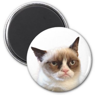 Grumpy Cat Round Magnet