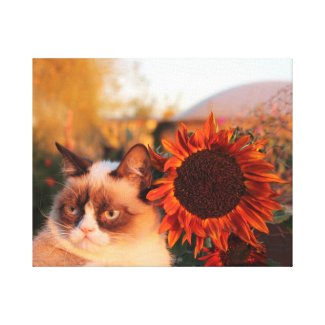 Grumpy Cat Sunflower on Canvas Stretched Canvas Prints