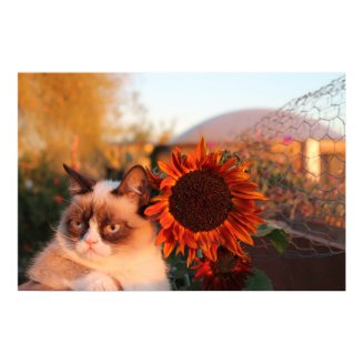 Grumpy Cat Sunflower Poster