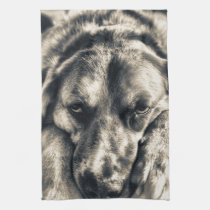 Grumpy Dog face kitchen Tea towel american mojo kitchen towels