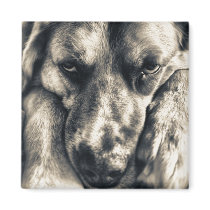 Grumpy Dog fridge magnet magnets