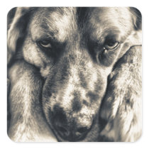 Grumpy Dog stickers stickers