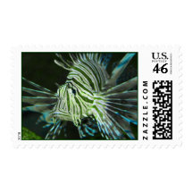 Grumpy Fish Stamp