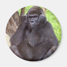 Grumpy Gorilla Fridge Magnet