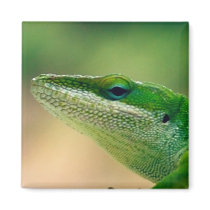 Grumpy Green Reptile magnets