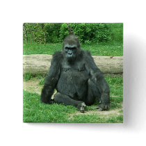 Grumpy Lowland Gorilla Pinback Buttons