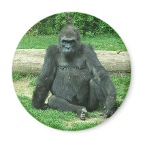 Grumpy Lowland Gorilla Refrigerator Magnet