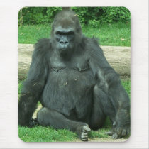 Grumpy Lowland Gorilla Mouse Pads