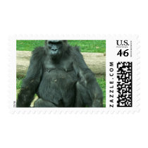 Grumpy Lowland Gorilla Stamps