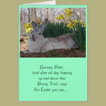 Grumpy Peter CottonTail cards