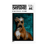 Grunge American Pitbull Terrier Postage Stamp