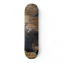 Grunge American Staffordshire Terrier Pitbull Skate Decks